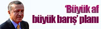 Erdoğan’ın ‘büyük af, büyük barış’ planı