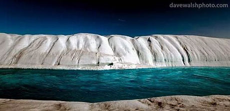 Petermann buzulu böyle eriyor galerisi resim 26