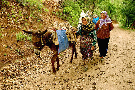 Yedi bölgeden sonbahar renkleri galerisi resim 23