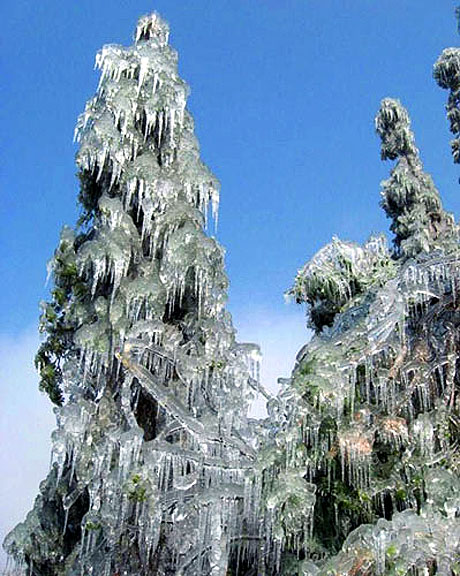 Hayatın içinden en acayip fotoğraflar galerisi resim 17