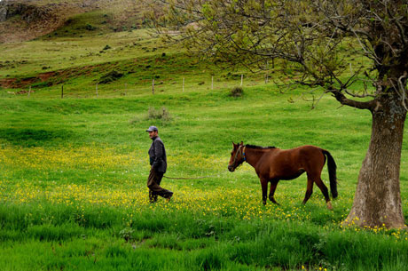 Muhteşem resimlerle bir gezinti (Foto:R.Öğüt) galerisi resim 13