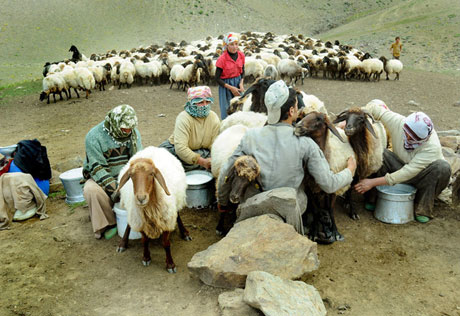 Muhteşem resimlerle bir gezinti (Foto:R.Öğüt) galerisi resim 34