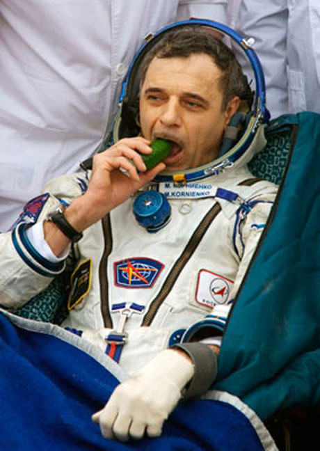 Uzaydan indim tarlaya galerisi resim 14