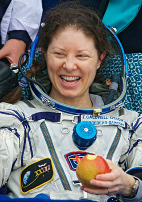 Uzaydan indim tarlaya galerisi resim 4