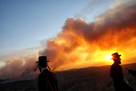 Yangın İsrail'i bu hale getirdi galerisi resim 12