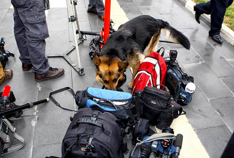 Cumhurbaşkanı Gül Diyarbakır'da galerisi resim 29