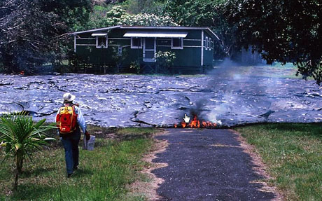 Doğa'dan mucizevi görüntüler! galerisi resim 73