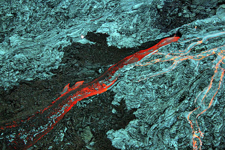 Doğa'dan mucizevi görüntüler! galerisi resim 81