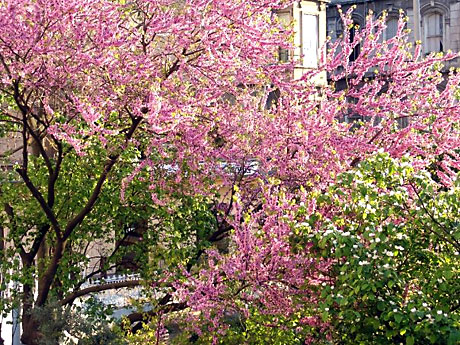 Şaban Dayanan'dan yaşamın renkleri galerisi resim 27