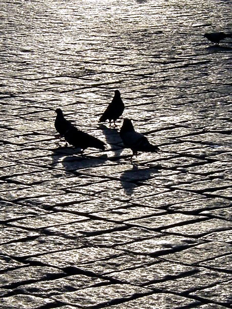 Şaban Dayanan'dan yaşamın renkleri galerisi resim 31