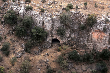 Cumhurbaşkanı Gül kamuflaj giydi galerisi resim 23