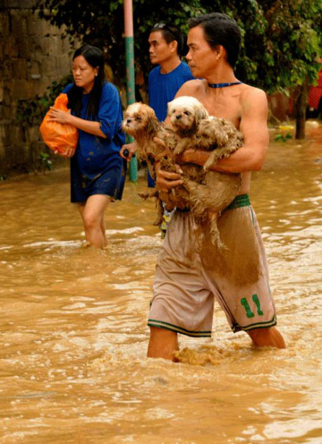 Filipinlerdeki Sel Felaketi galerisi resim 11