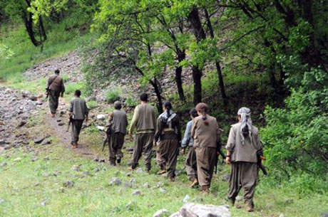 Dersim'de PKK'li grup sivilleri uyardı galerisi resim 21