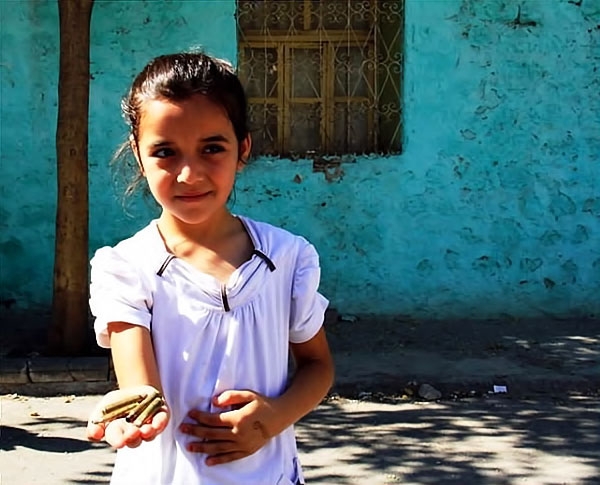 Silvan, Lice, Şemdinli'de savaş görüntüleri galerisi resim 46