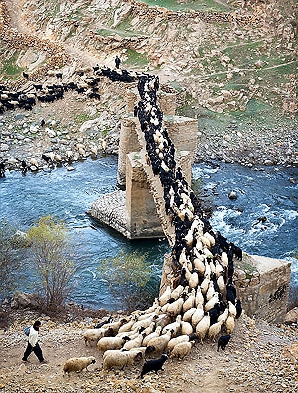 Doğu Kürdistan Palangan Köyü galerisi resim 10