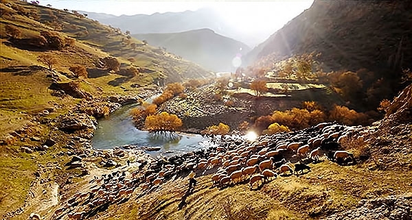 Doğu Kürdistan Palangan Köyü galerisi resim 8