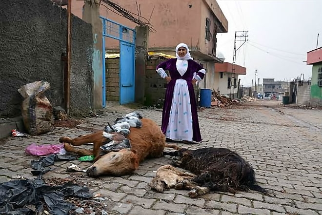 Silopi’den yıkım görüntüleri galerisi resim 19