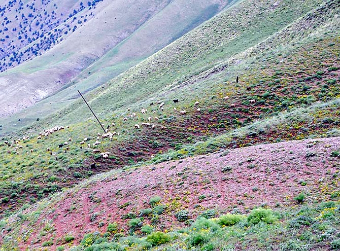 Fotoğraflarla Dersim'in göçerleri galerisi resim 29