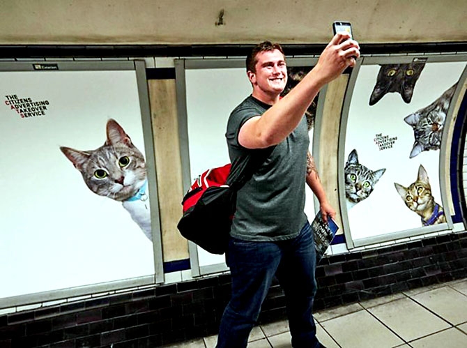 Londra metrosunu kediler bastı galerisi resim 11