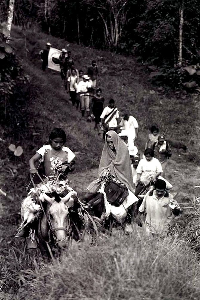 Fotoğraflarla: Kolombiya'da 52 yıl süren savaş galerisi resim 18