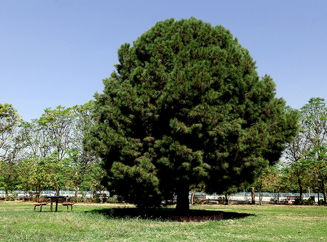 Hewler'in en büyük parkı: Sami Abdurrahman Parkı galerisi resim 12