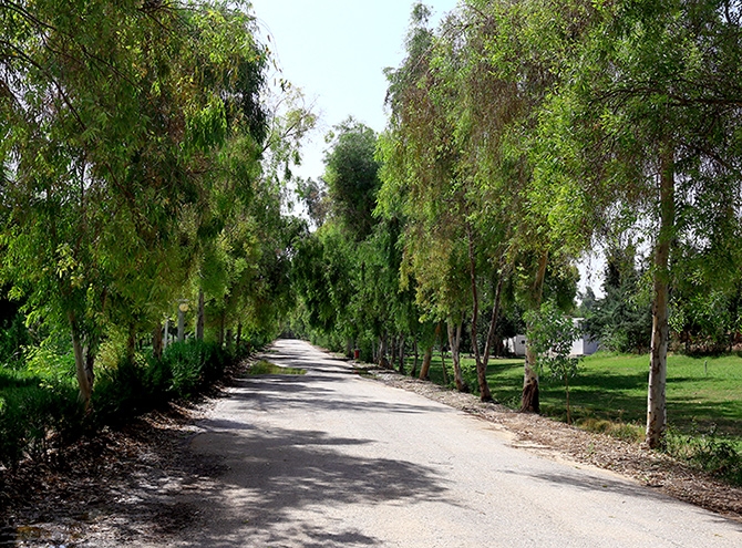 Hewler'in en büyük parkı: Sami Abdurrahman Parkı galerisi resim 20