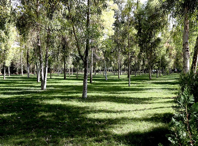 Hewler'in en büyük parkı: Sami Abdurrahman Parkı galerisi resim 21