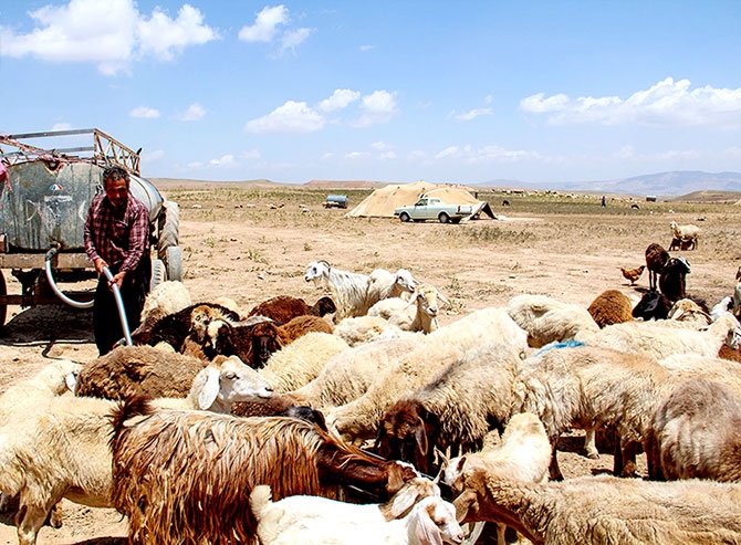 Fotoğraflarla Horasan göçerleri galerisi resim 13