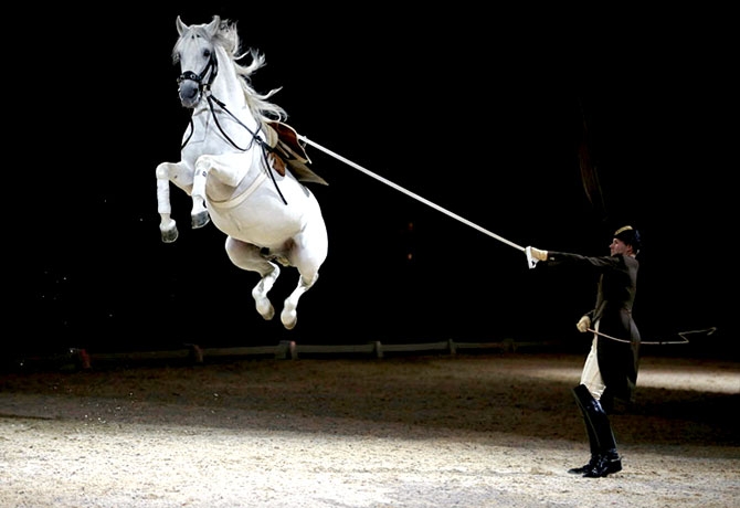 Reuters objektifinden yılın fotoğrafları galerisi resim 23