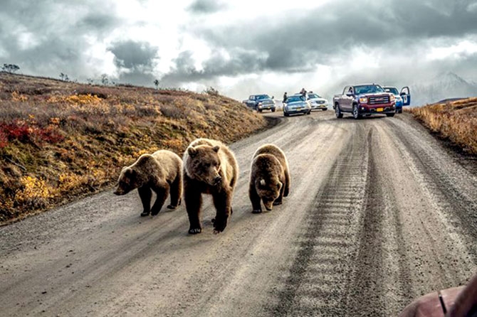 National Geographic 2016'nın en iyi karelerini açıkladı galerisi resim 28