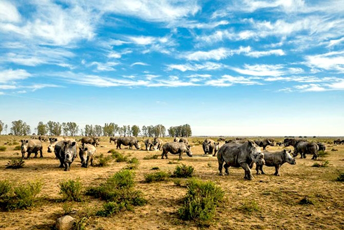 National Geographic 2016'nın en iyi karelerini açıkladı galerisi resim 37