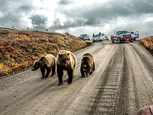 National Geographic 2016'nın en iyi karelerini açıkladı