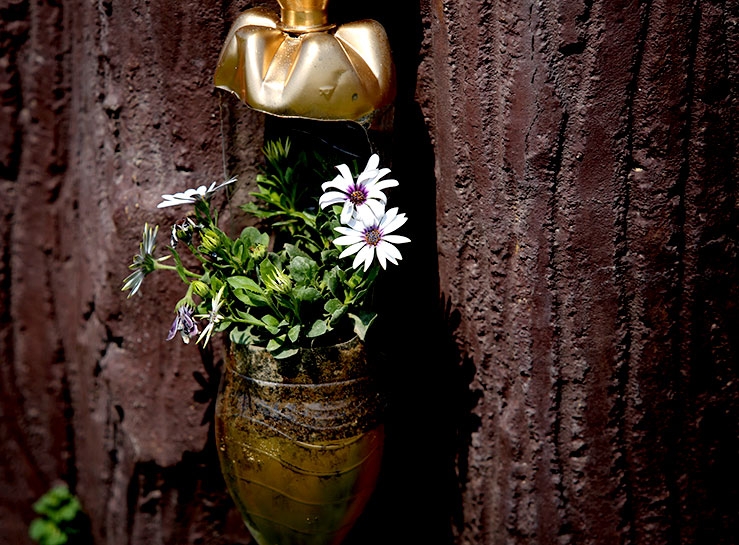 Süleymaniye’de 'doğa dostu' kermesi galerisi resim 11