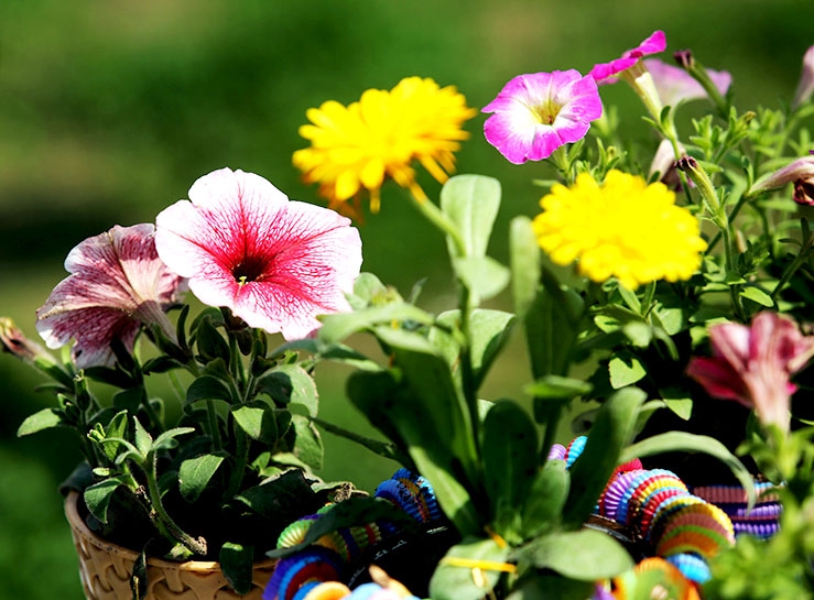 Süleymaniye’de 'doğa dostu' kermesi galerisi resim 9