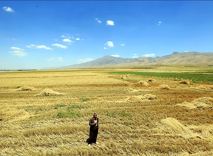 Kürdistan'da hasat dönemi galerisi resim 10
