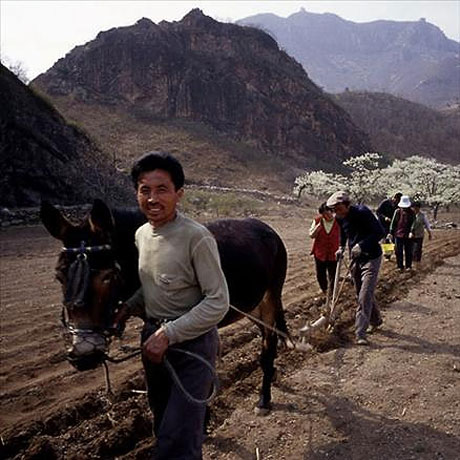 National Geographic’in en iyi fotoğrafları galerisi resim 9