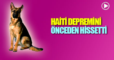 Haiti depremini 5 saniye önce hissetti