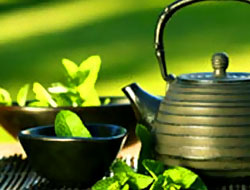 Yeşil çay iç kanseri önle!