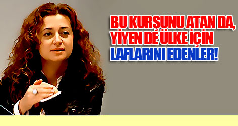 “Bu kurşunu atan da, yiyen de ülke için” laflarını edenler!