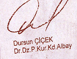 Tutuklanan Albay Çiçek Hasdal Cezaevi'ne kondu