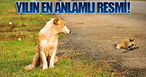 'Ana yüreği' ödül getirdi