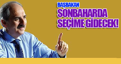 Başbakan sonbaharda seçime gidecek!