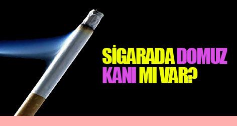 Sigarada domuz kanı mı var?
