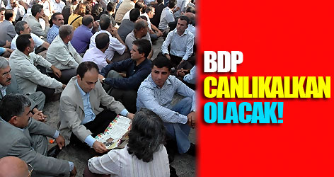 BDP 'Canlı Kalkan' Olacak!