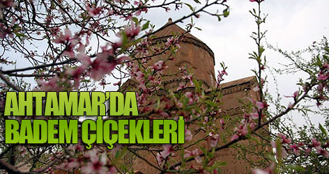 Ahtamar badem çiçeklerine büründü