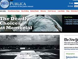 En saygın ödül internet sitesine