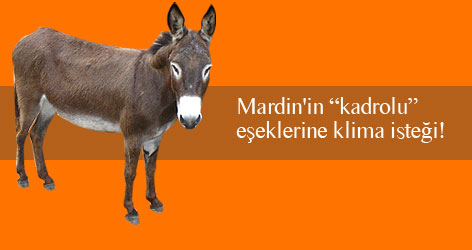 Mardin'in kadrolu eşeklerine klima isteği!