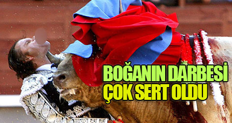 Boğanın darbesi çok sert oldu...