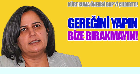 'Kürt Kuma' Önerisi BDP'yi Çıldırttı!