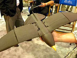 Casus güvercinler geliyor